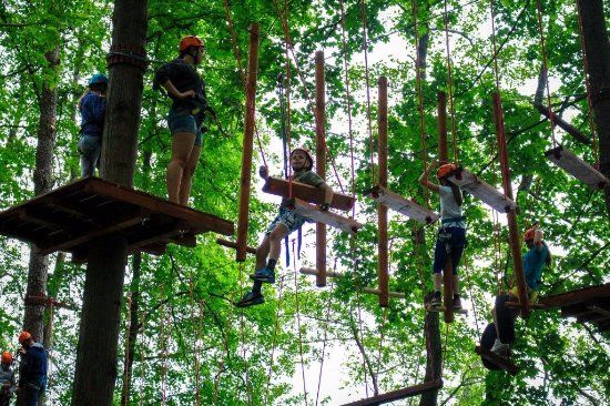 Park Linowy Wiewióra